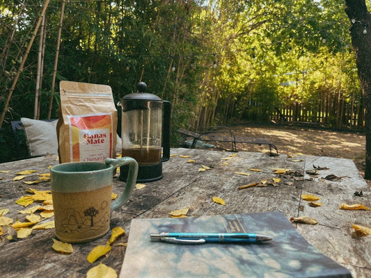 Best Organic Yerba Mate Buy Online Ganas Mate