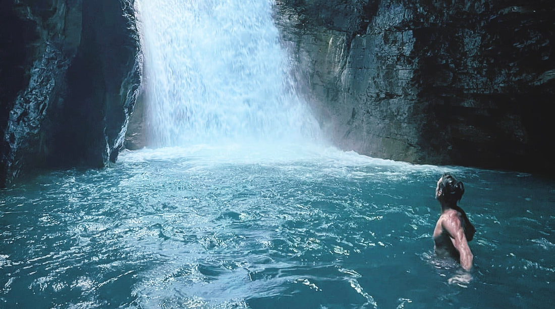 Best Organic Yerba Mate Buy Online Ganas Mate