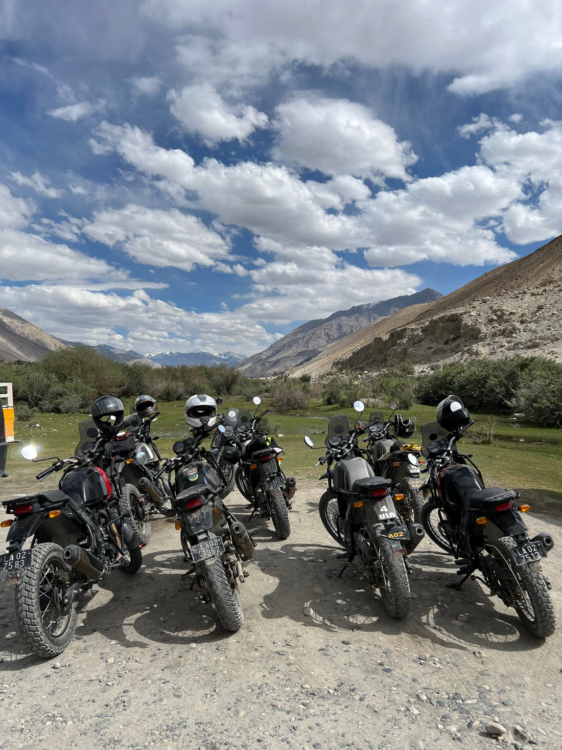 Ganas Mate Organic Yerba Mate Loose Leaf Tea Rides In India