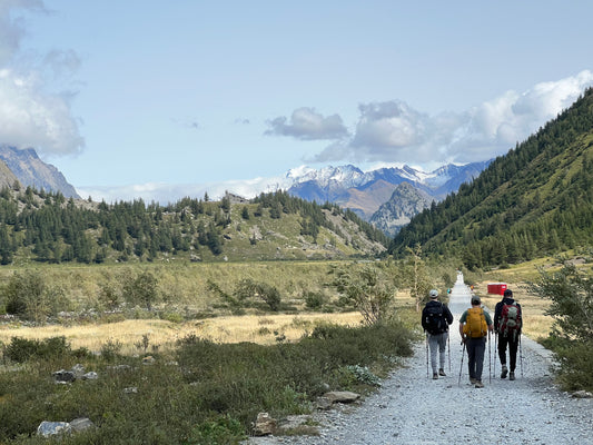 Best Organic Yerba Mate Buy Online Ganas Mate