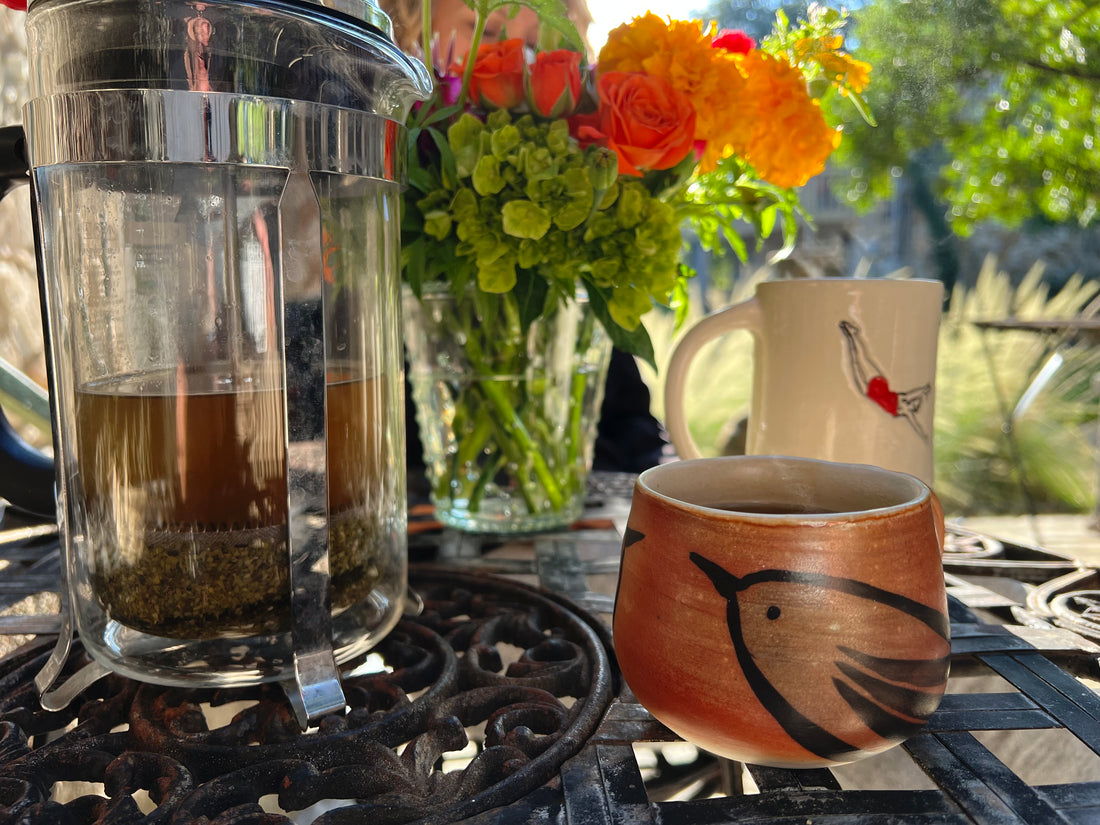 Best Organic Yerba Mate Buy Online Ganas Mate