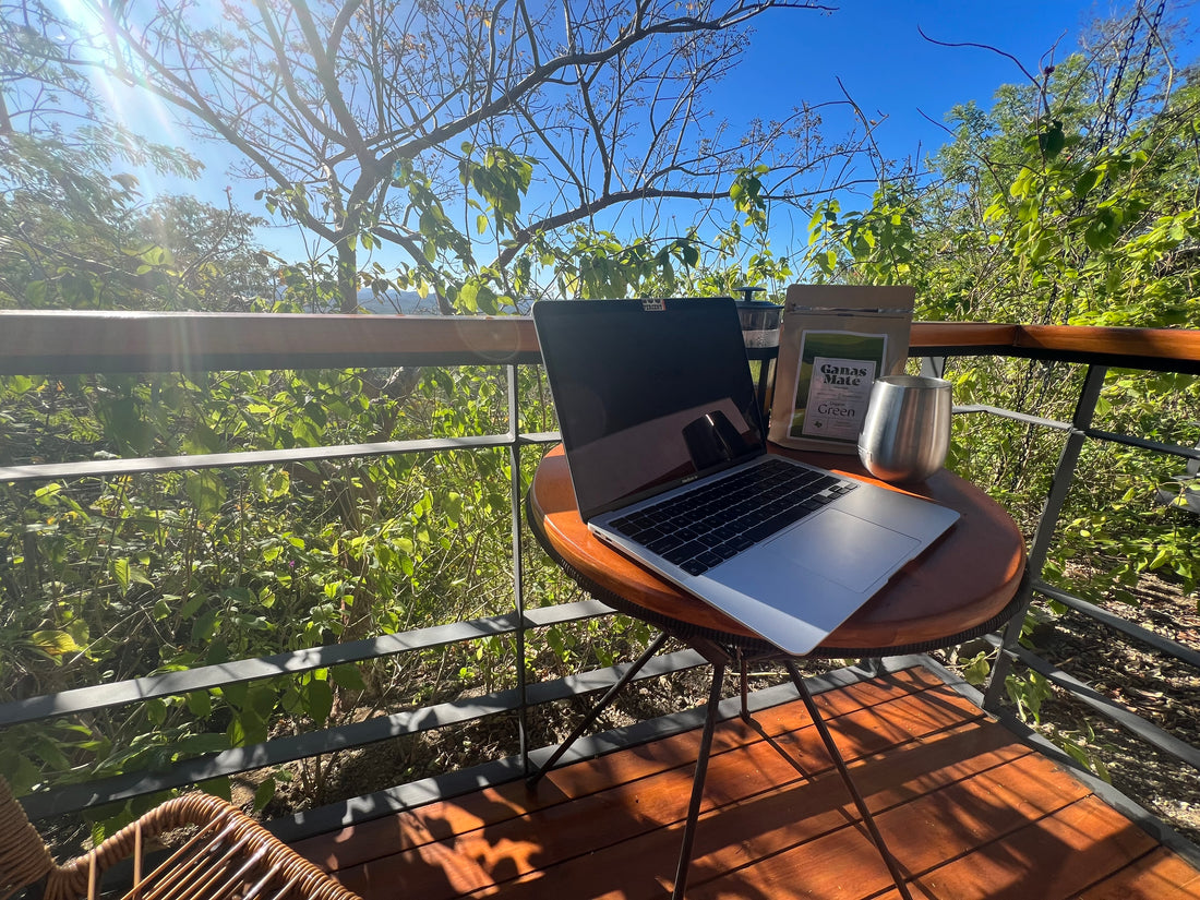 Best Organic Yerba Mate Buy Online Ganas Mate