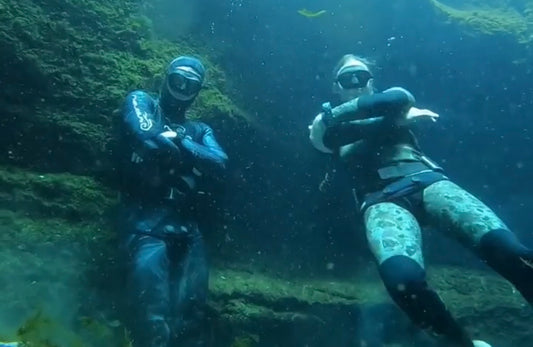 Best Organic Yerba Mate Buy Online Ganas Mate