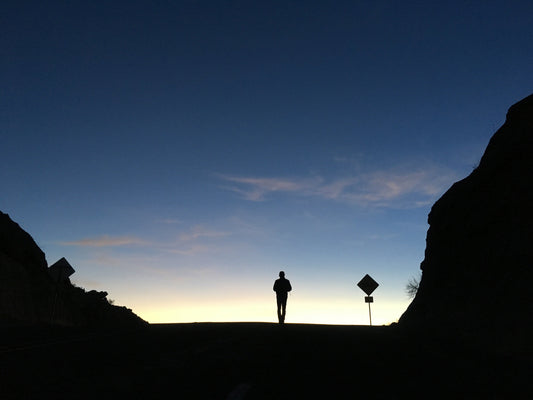 Best organic yerba mate tea loose leaf ganas mate west Texas