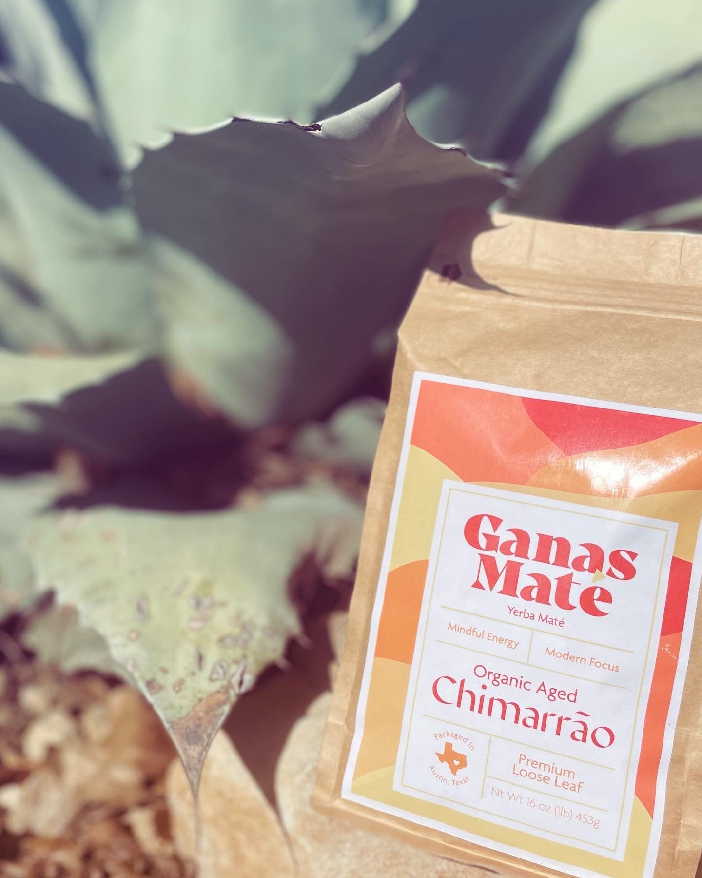 Best Organic Yerba Mate Ganas Mate