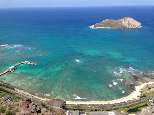 Best organic yerba mate tea loose leaf unsmoked kept us motivated to hike to top of this ocean overlook in Hawaii